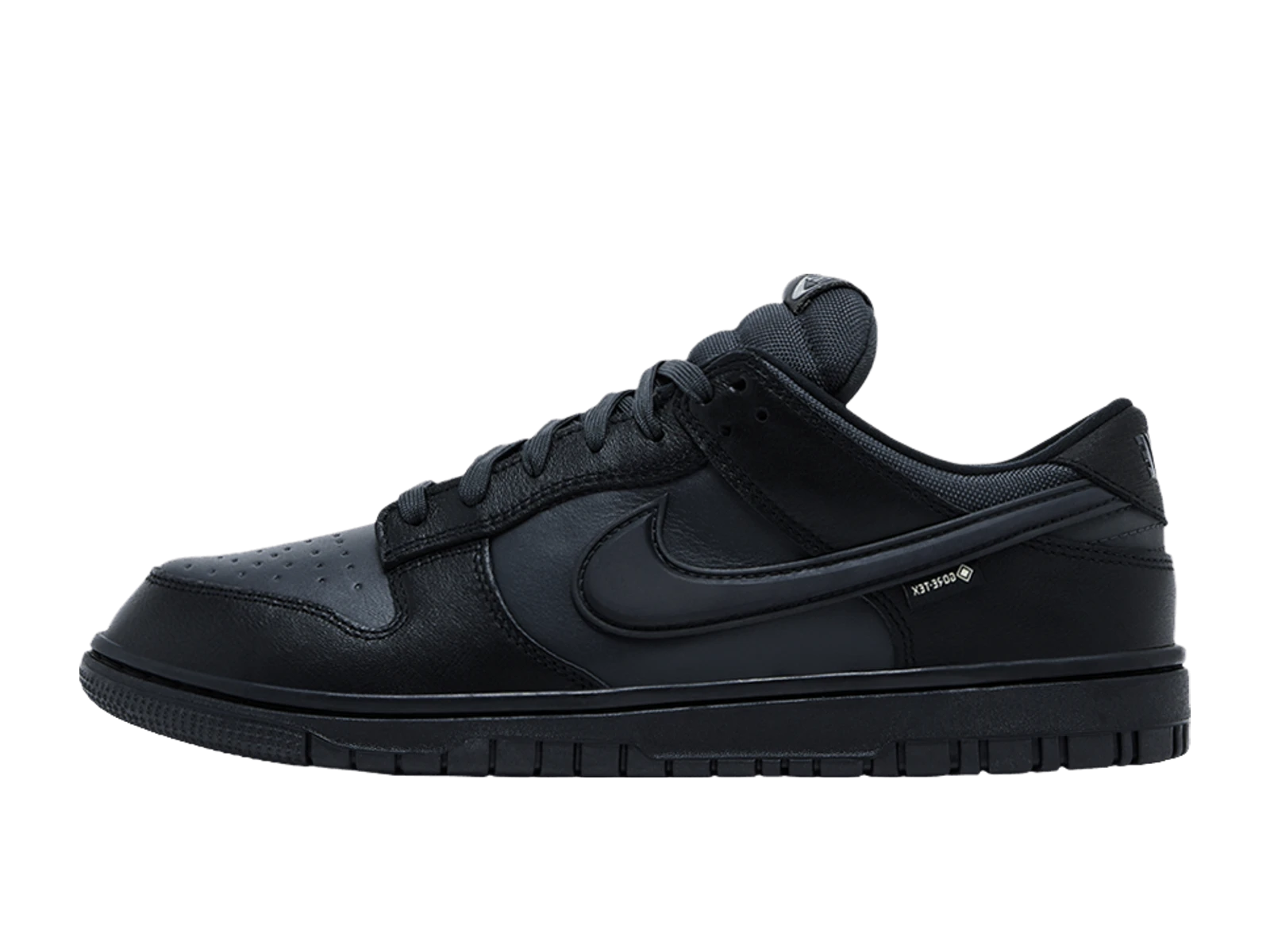 Nike Dunk Low Gtx